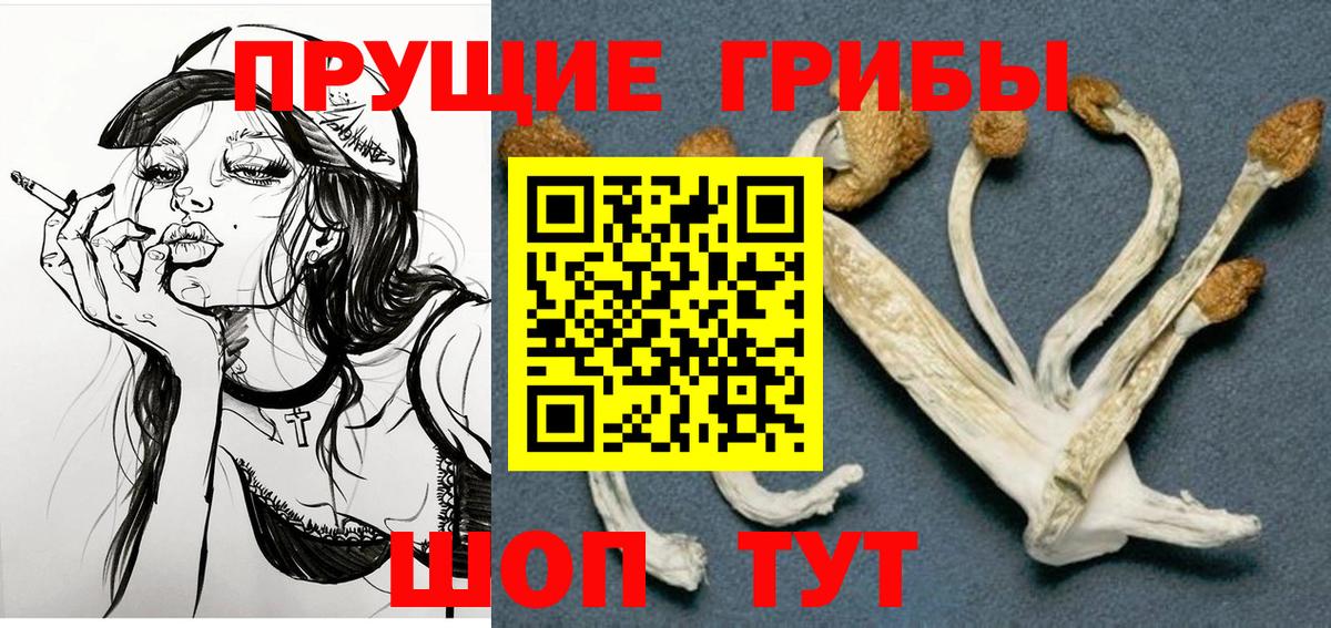 Псилоцибиновые грибы Cubensis Сызрань